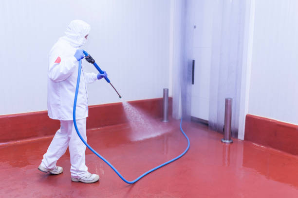 La Blanca, TX Pressure Washing Services Company