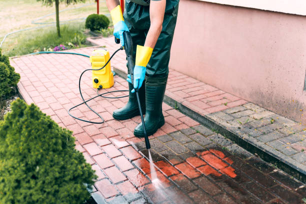Best Factory Floor Cleaning  in La Blanca, TX