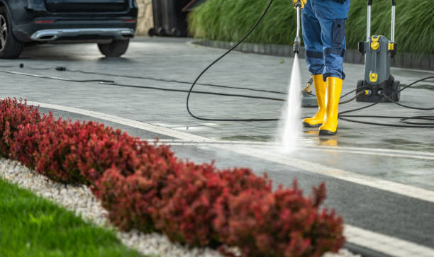 Best Roof Washing  in La Blanca, TX